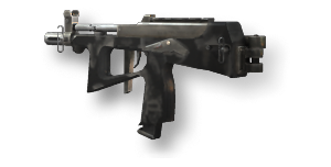 PP2000 AKIMBO
